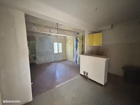 triplex 50 m carrez a rénover