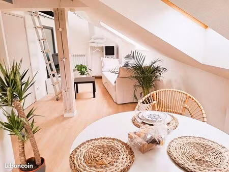logement avec terrasse
