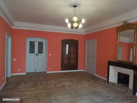 grand appartement bourgeois lumineux