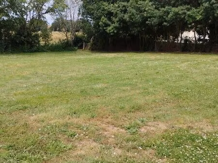 terrain constructible