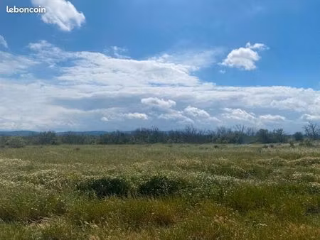 terrain 419 m² ferrals les corbieres