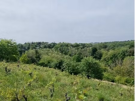 terrain 1 010 m² castanet tolosan