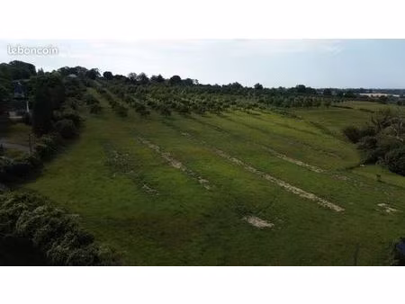 terrain 831 m² cambremer