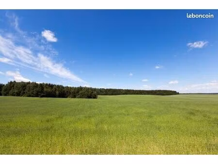 terrain agricole 3798m2