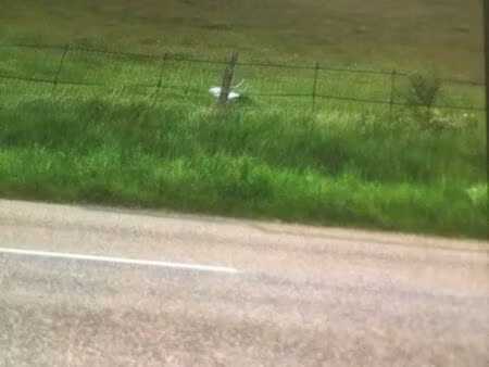 terrain à louer pour des animaux ou autre