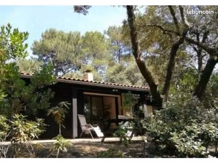 recherche logement maison ou appartement