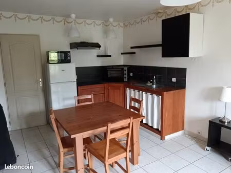 appartement 1 pièce 30 m2 st antoine