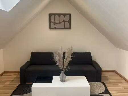 magnifique t1 meublé
