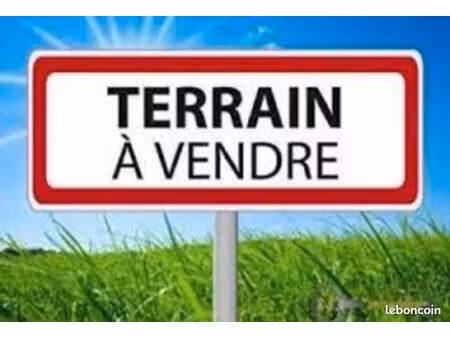 terrain 20 000 m² saint martin