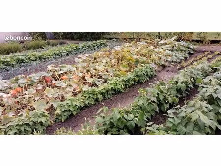 terrain pour jardin