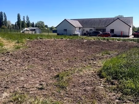 terrain constructible