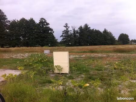 terrain 1 100 m² saint aubin de medoc