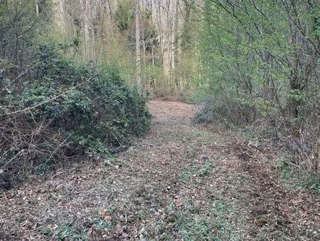 forêt