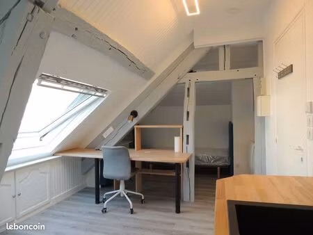 studio centre ville