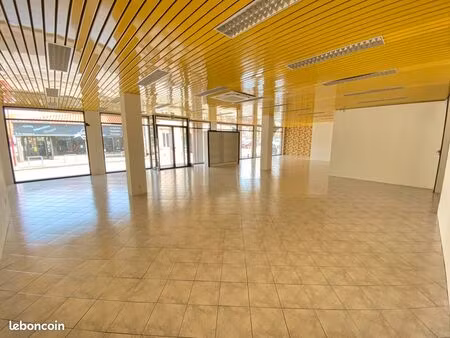 local professionnel 200m2 à revel (31)