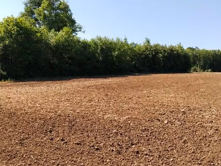 a vendre parcelle de bois