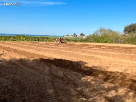 terrain agricole