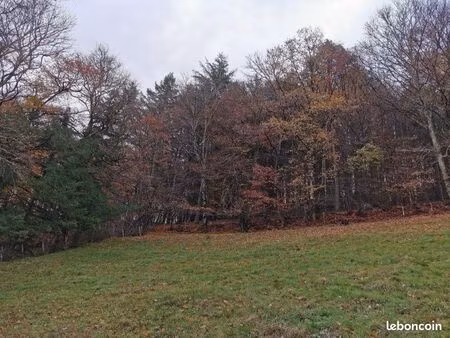 terrain de 5 hectares - forêt et pâture - accès direct route