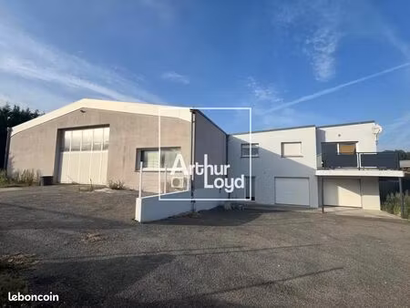 local bureaux 623 m²