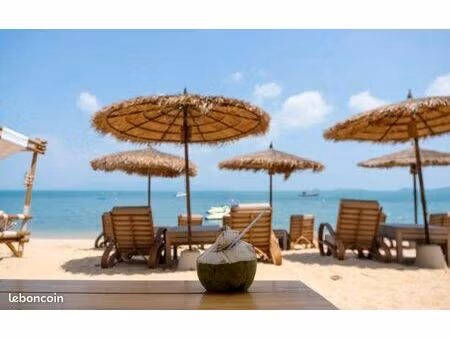 bar  restaurant 1500 m² leucate