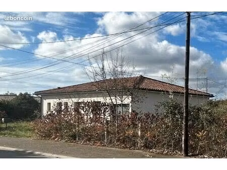 location maison t4