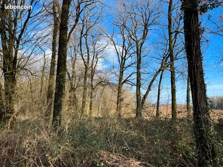 à vendre – ensemble de parcelles boisées en charente-maritime (17)