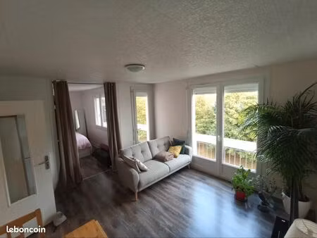 appartement avec locataire en place  