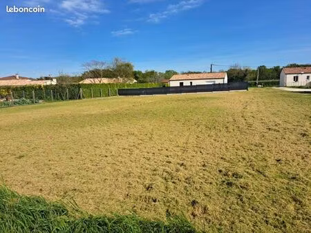 terrain constructible