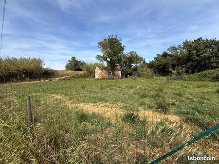 terrain agricole