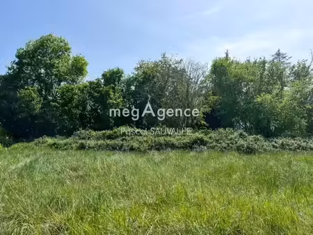 vente terrain à batir 2060 m² à saint-leon-sur-l'isle (24110)  50 000 €