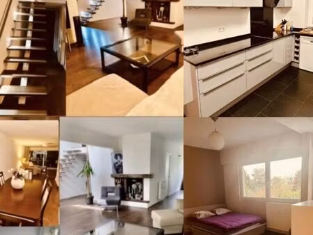 chambre 1 pièce 25 m²