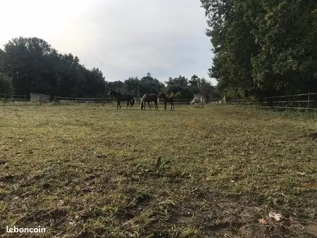 cherche prairies à acheter ou louer  avec ou sans maison dessus
