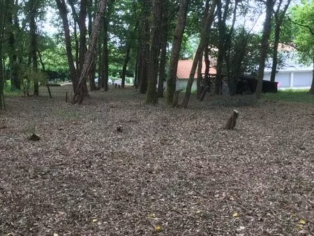 terrain 2000m2 à saint augustin 17570