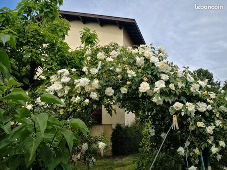 particulier vend grande maison 6/7 pièces de 141m2 terrain 916m2 piscinable