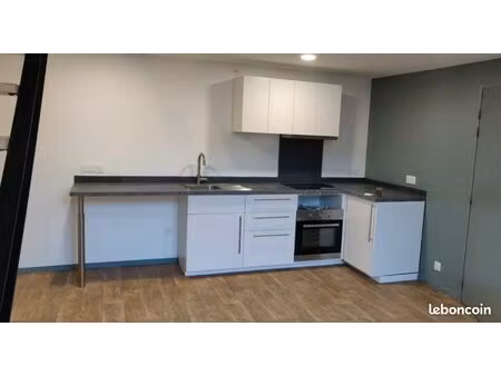duplex lumineux 39m2 boulevard franklin roosevelt bordeaux