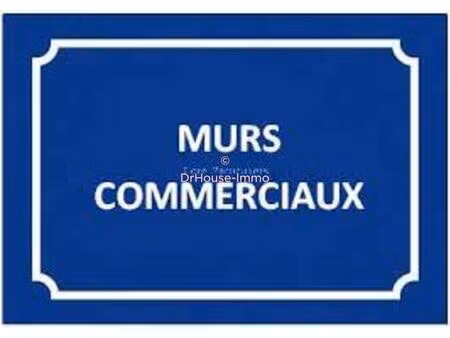 vente locaux d'activités pour investisseur