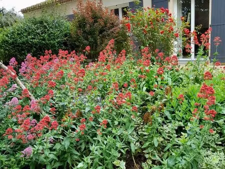 maison de plain-pied de 160m²