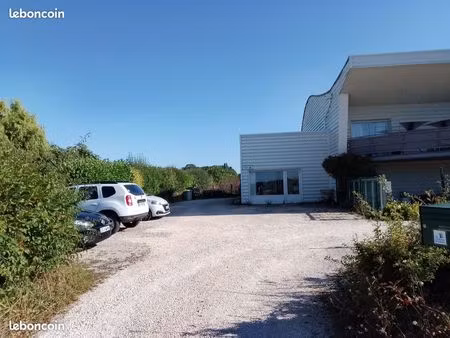 locaux professionnels 200m2