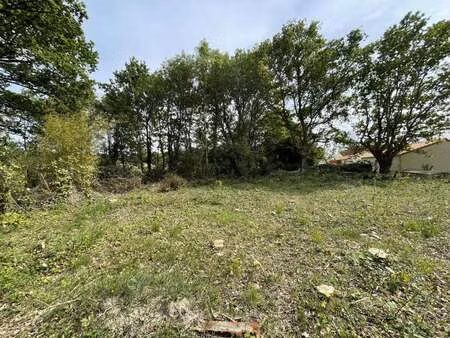 vente terrain à geneston (44140) : à vendre / 1269m² geneston