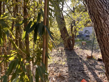 grand terrain constructible