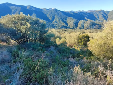 vente terrain 3120 m² à lama (20218)  393 000 €