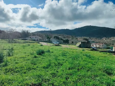 vente terrain 2419 m² à lavatoggio (20225)  290 000 €