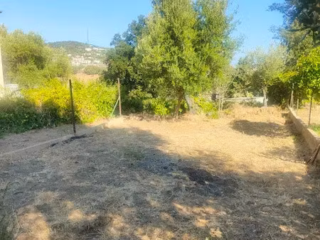vente terrain 429 m² à l'ile-rousse (20220)  141 750 €