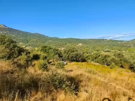vente terrain 3502 m² à monticello (20220)  651 000 €