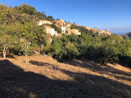 vente terrain 1250 m² à occhiatana (20226)  144 600 €