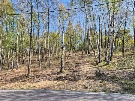 bois de la pierre à wavre - terrain à bâtir