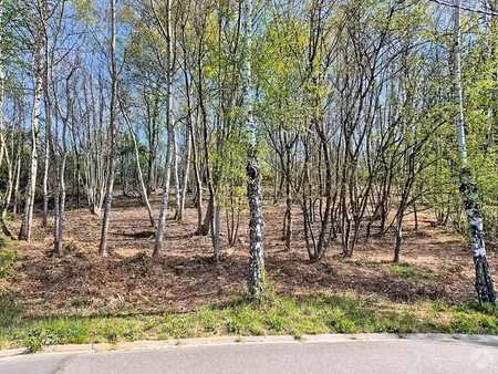 bois de la pierre à wavre - terrain à bâtir