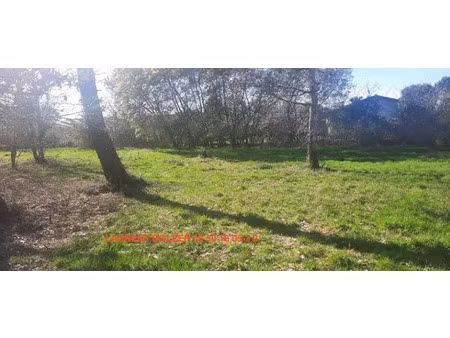 vente terrain 1030 m² à tresses (33370)  229 000 €