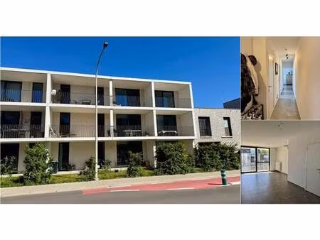appartement à louer à ten rode 2 lier (rbv82356)