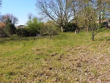 terrain 800 m² roaillan